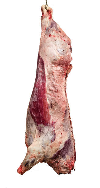 1/4 of a Beef Deposit Read the Description
